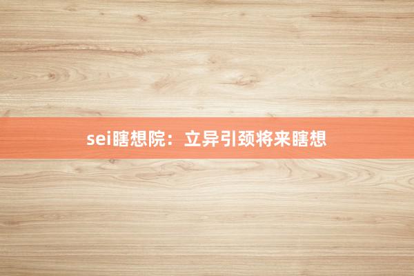 sei瞎想院：立异引颈将来瞎想