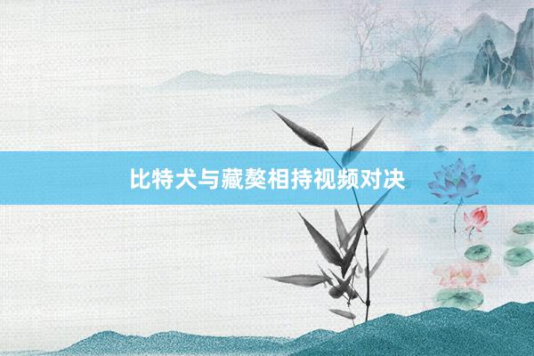 比特犬与藏獒相持视频对决